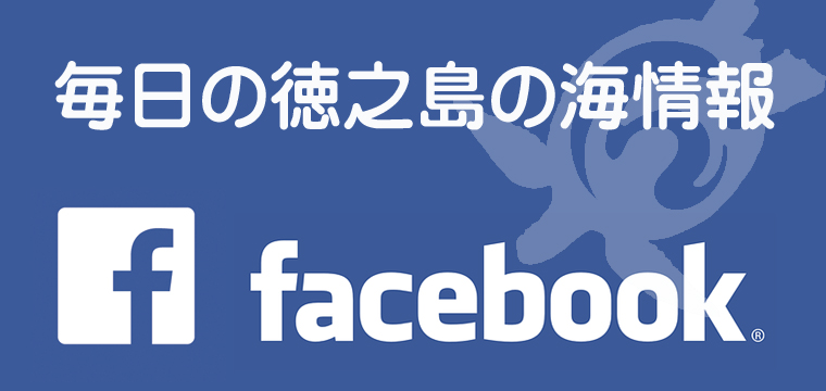 facebookページ